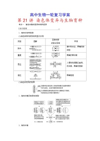 新高考生物一轮复习学案：第21讲　染色体变异与生物育种（含解析）