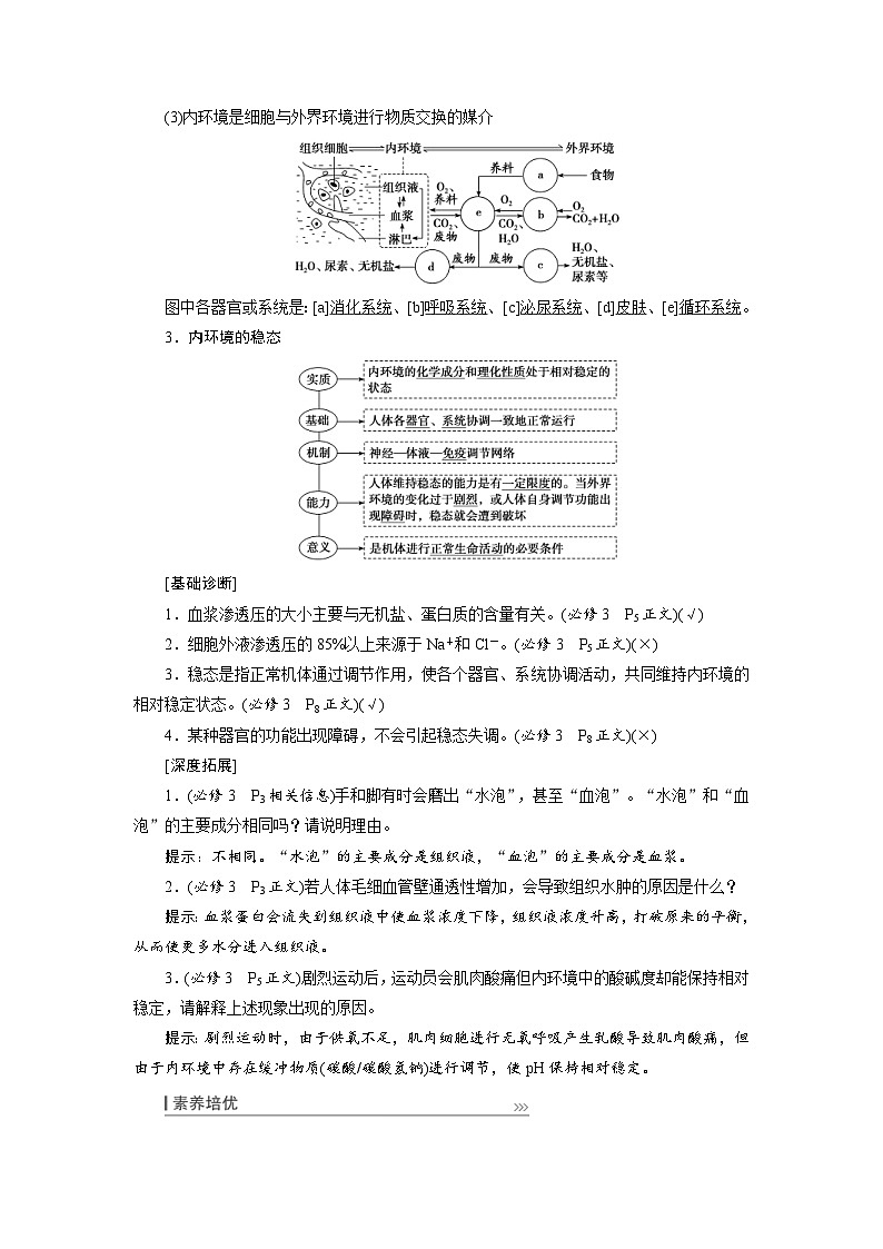 新高考生物一轮复习学案：第23讲　人体内环境稳态及实例（含解析）第2页