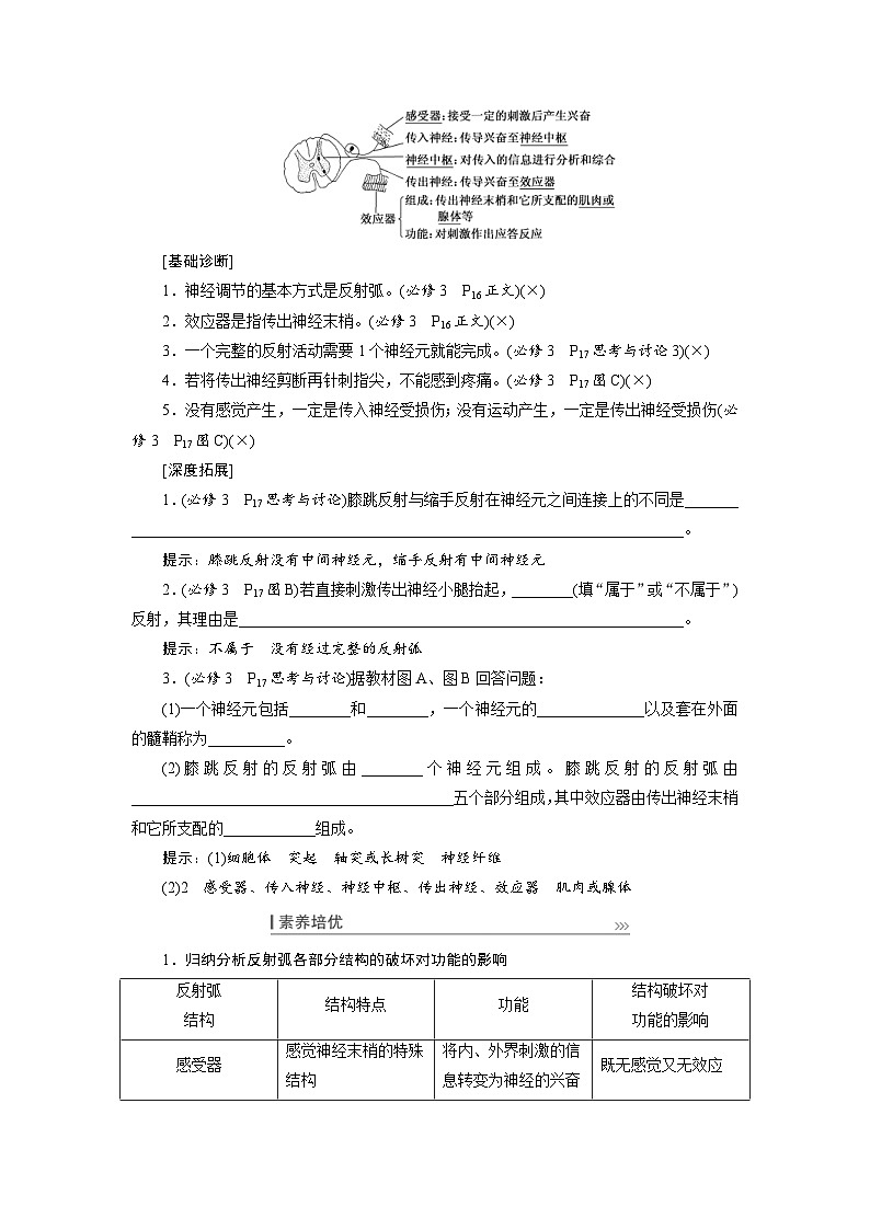 新高考生物一轮复习学案：第24讲　通过神经系统的调节（含解析）第2页