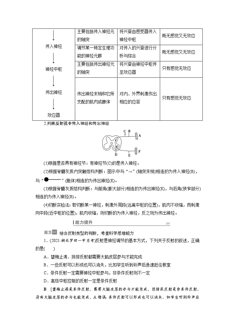 新高考生物一轮复习学案：第24讲　通过神经系统的调节（含解析）第3页