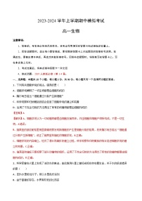 2023-2024学年高一生物上学期期中模拟考试期中模拟卷01（人教版2019）