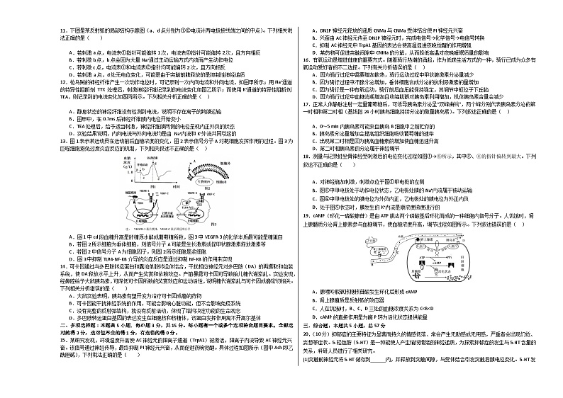 （江苏专用）2023-2024学年高二生物上学期 第一次月考B卷02