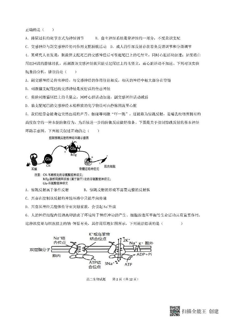 山东省菏泽市东明县第一中学2023-2024学年高二上学期10月月考生物试题第2页