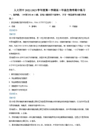 北京市中国人民大学附属中学2022-2023学年高一生物上学期期中试题（Word版附解析）