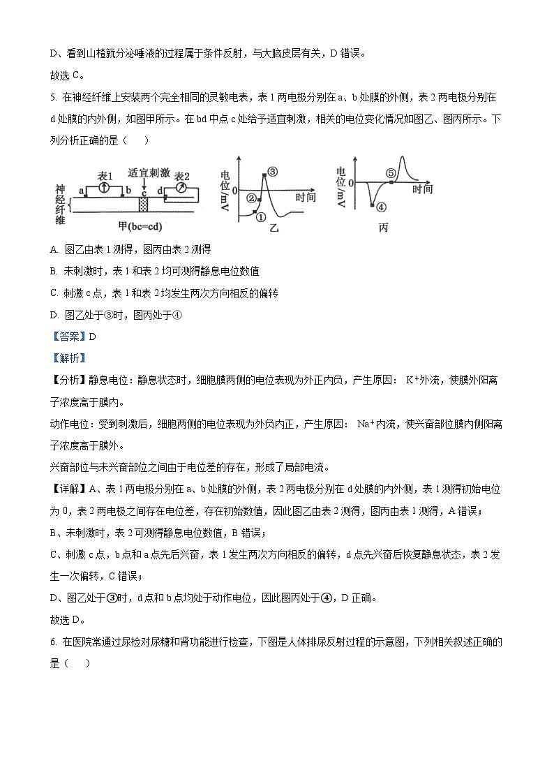 河北省邯郸市九校联盟2022-2023学年高二生物上学期期中试题（Word版附解析）第3页