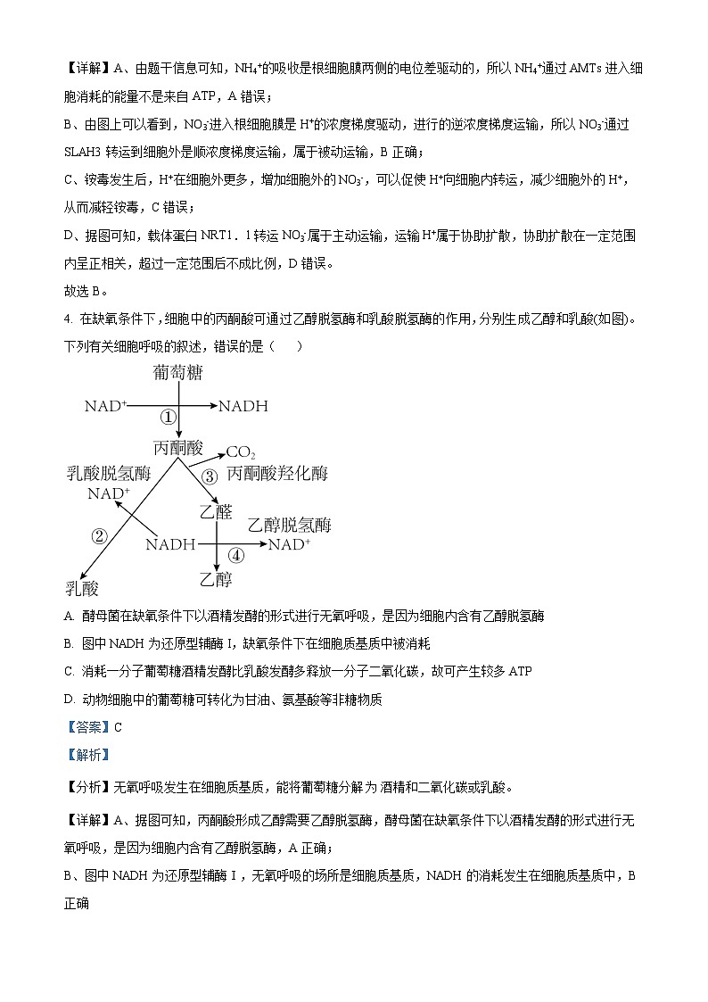辽宁省北镇市第三高级中学2024届高三上学期第二次月考生物答案第3页