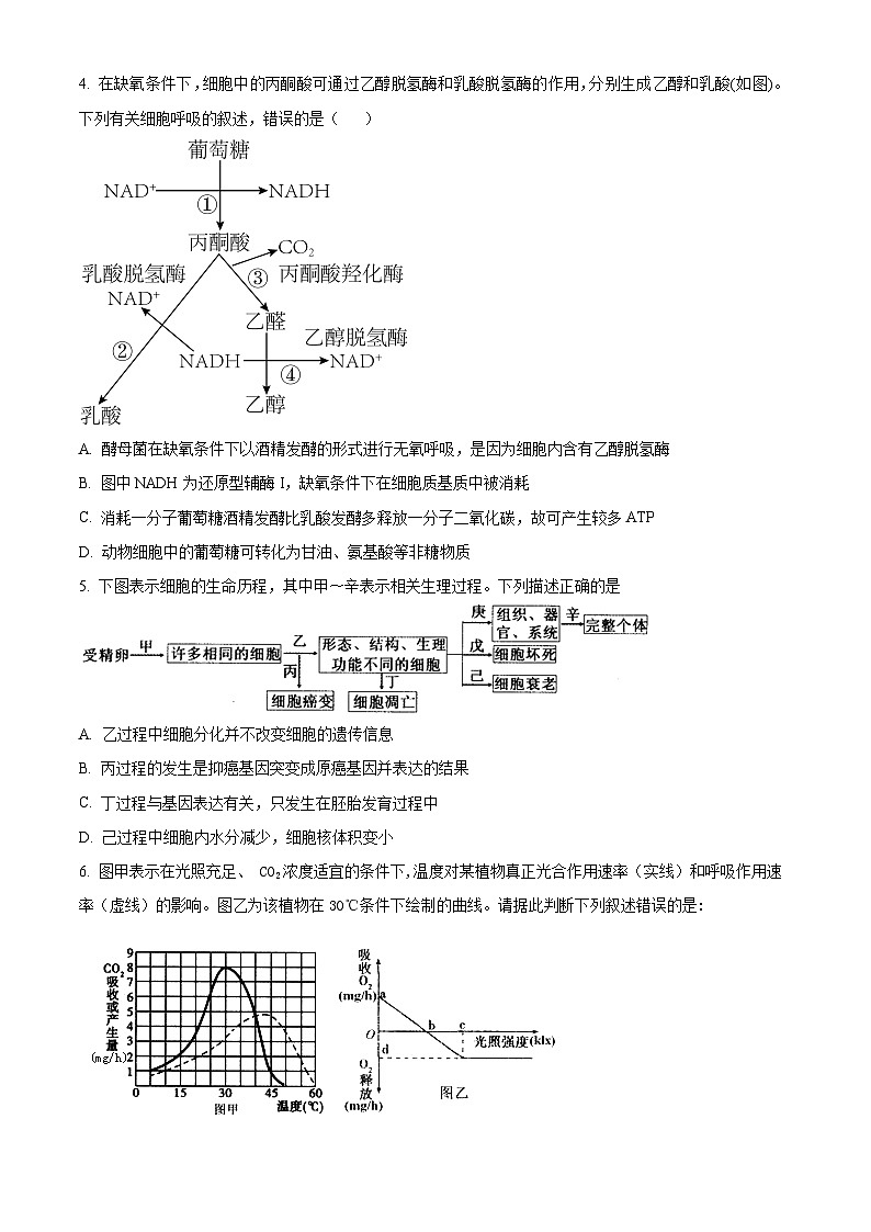 辽宁省北镇市第三高级中学2024届高三上学期第二次月考生物第2页