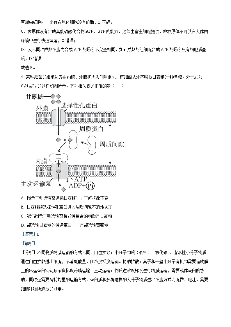 安徽省巢湖市第一中学2023-2024学年高三10月月考生物试题含解析第3页