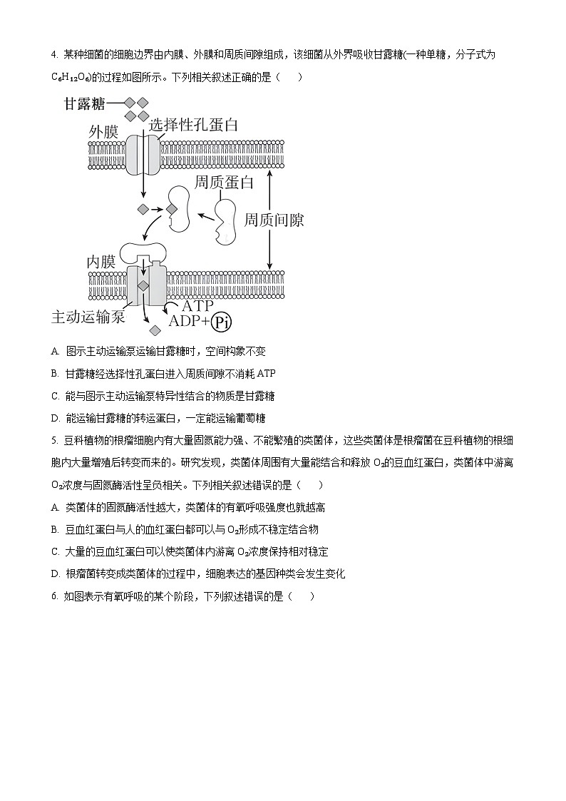 安徽省巢湖市第一中学2023-2024学年高三10月月考生物试题无答案第2页