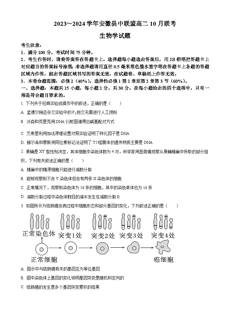 2024安徽省县中联盟高二上学期10月联考生物试题含解析01