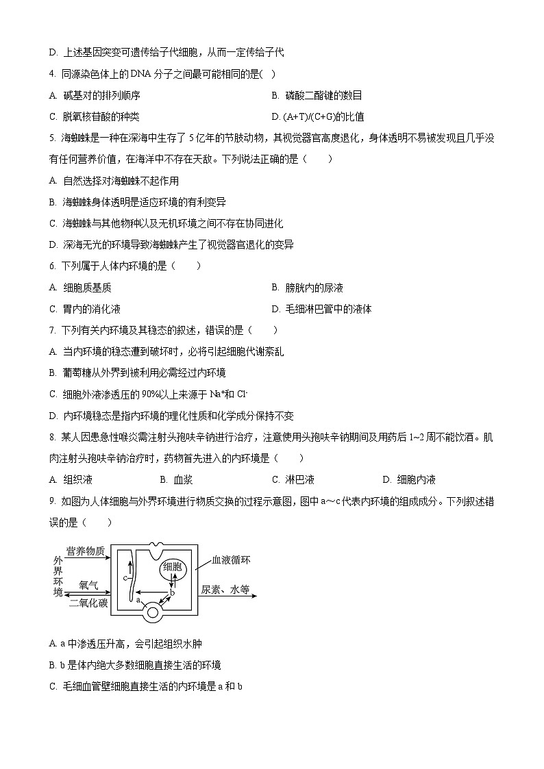 2024安徽省县中联盟高二上学期10月联考生物试题含解析02