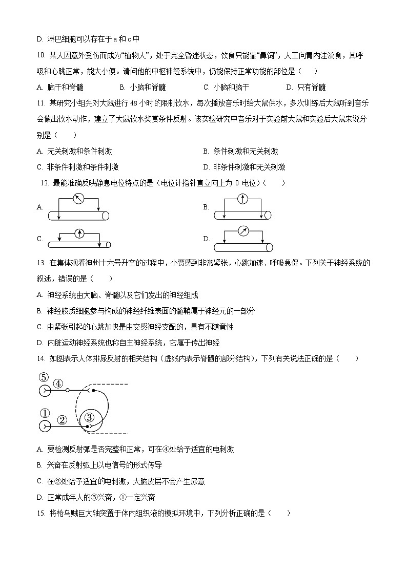 2024安徽省县中联盟高二上学期10月联考生物试题含解析03