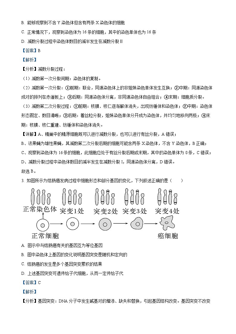 2024安徽省县中联盟高二上学期10月联考生物试题含解析02