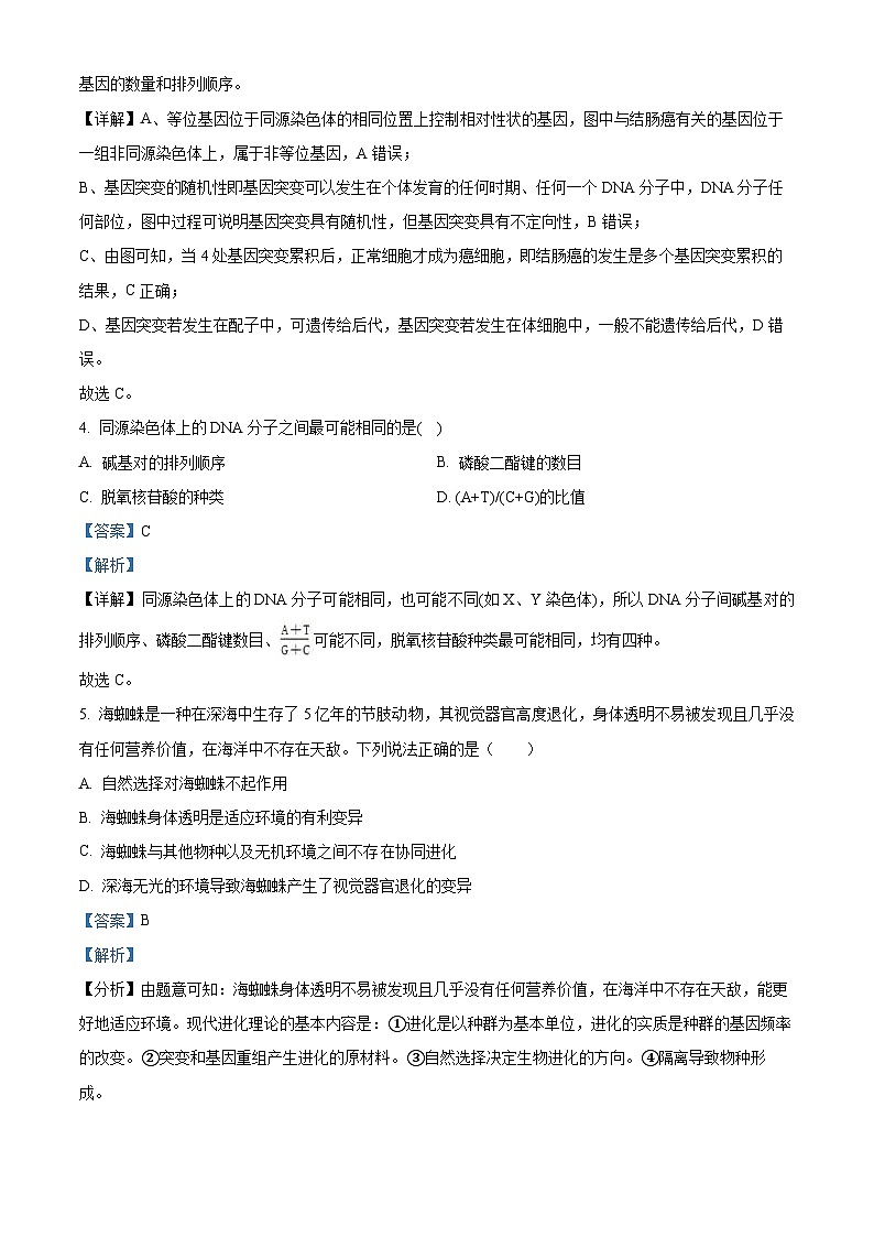 2024安徽省县中联盟高二上学期10月联考生物试题含解析03