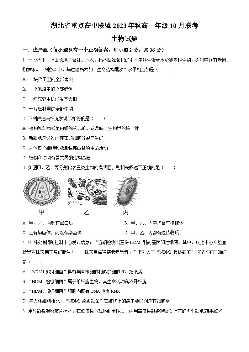湖北省重点高中联盟2023-2024学年高一10月联考生物试题无答案第1页