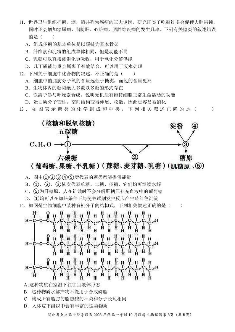 2024湖北省重点高中智学联盟高一上学期10月联考生物试题扫描版含答案03