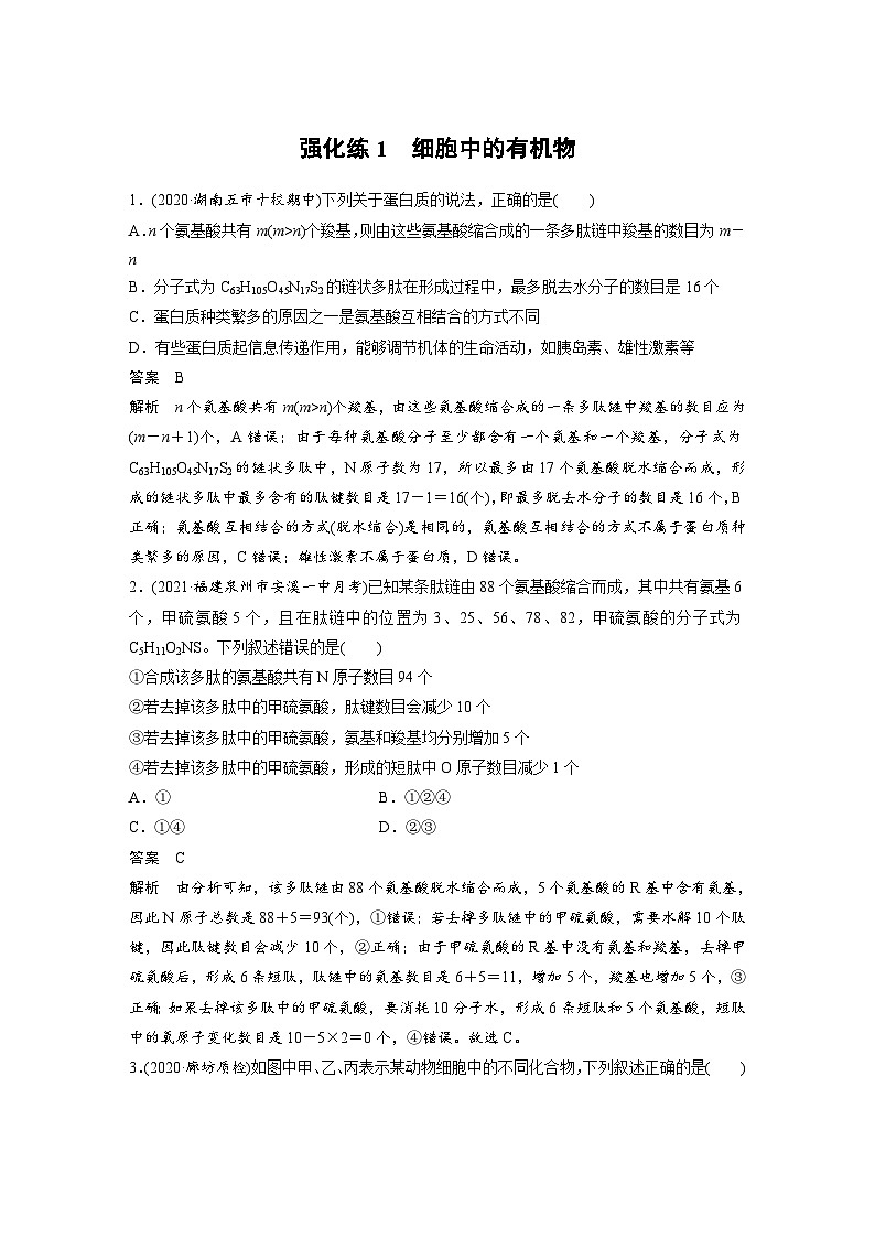 新高考生物一轮复习精品学案 第1单元 强化练1　细胞中的有机物（含解析）第1页