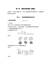 新高考生物一轮复习精品学案 第2单元 第6讲　细胞的物质输入和输出（含解析）