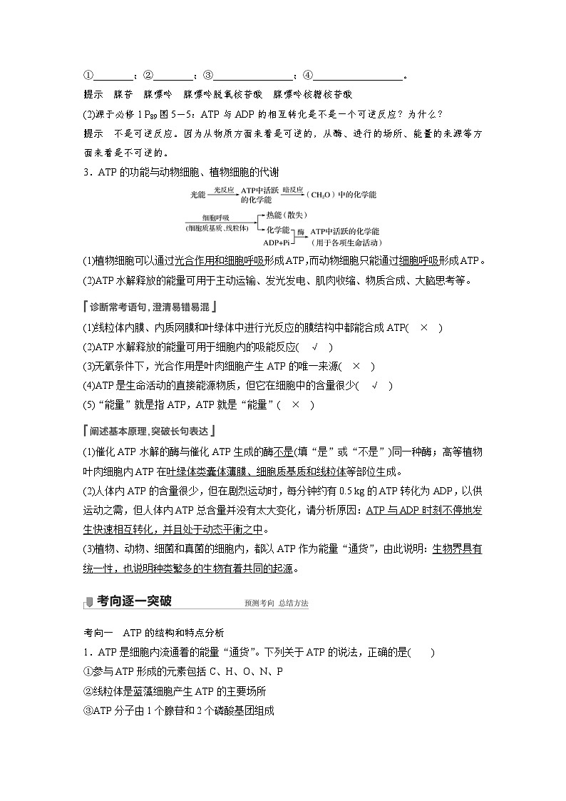 新高考生物一轮复习精品学案 第3单元 第8讲　ATP和细胞呼吸（含解析）02