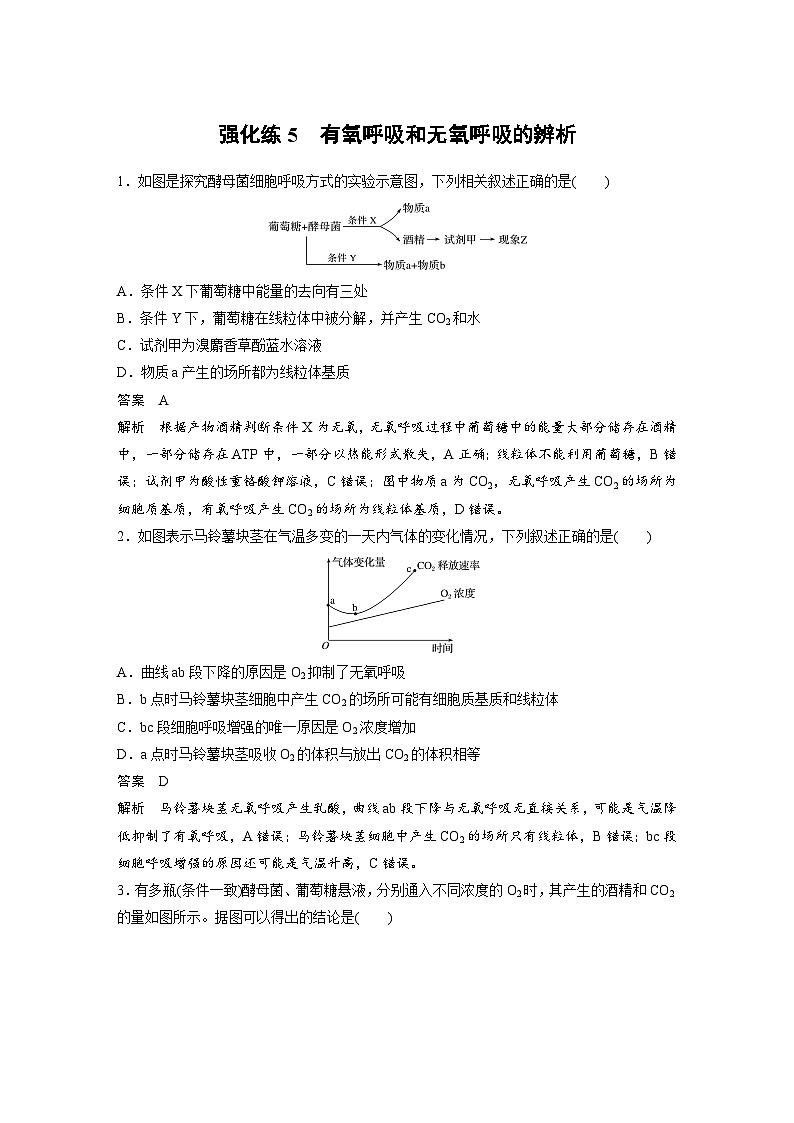 新高考生物一轮复习精品学案 第3单元 强化练5　有氧呼吸和无氧呼吸的辨析（含解析）01