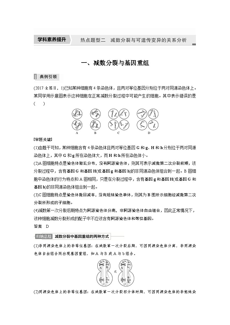 新高考生物一轮复习精品学案 第4单元 第12讲　热点题型二　减数分裂与可遗传变异的关系分析（含解析）01