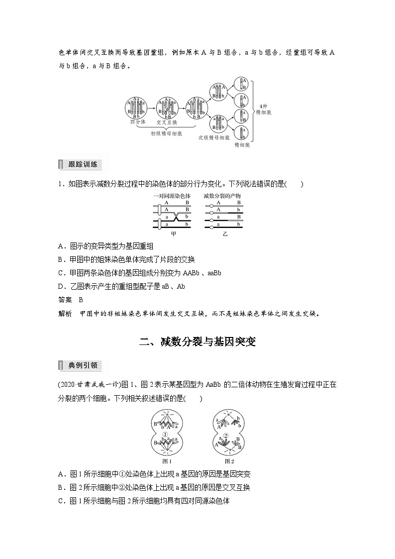 新高考生物一轮复习精品学案 第4单元 第12讲　热点题型二　减数分裂与可遗传变异的关系分析（含解析）02