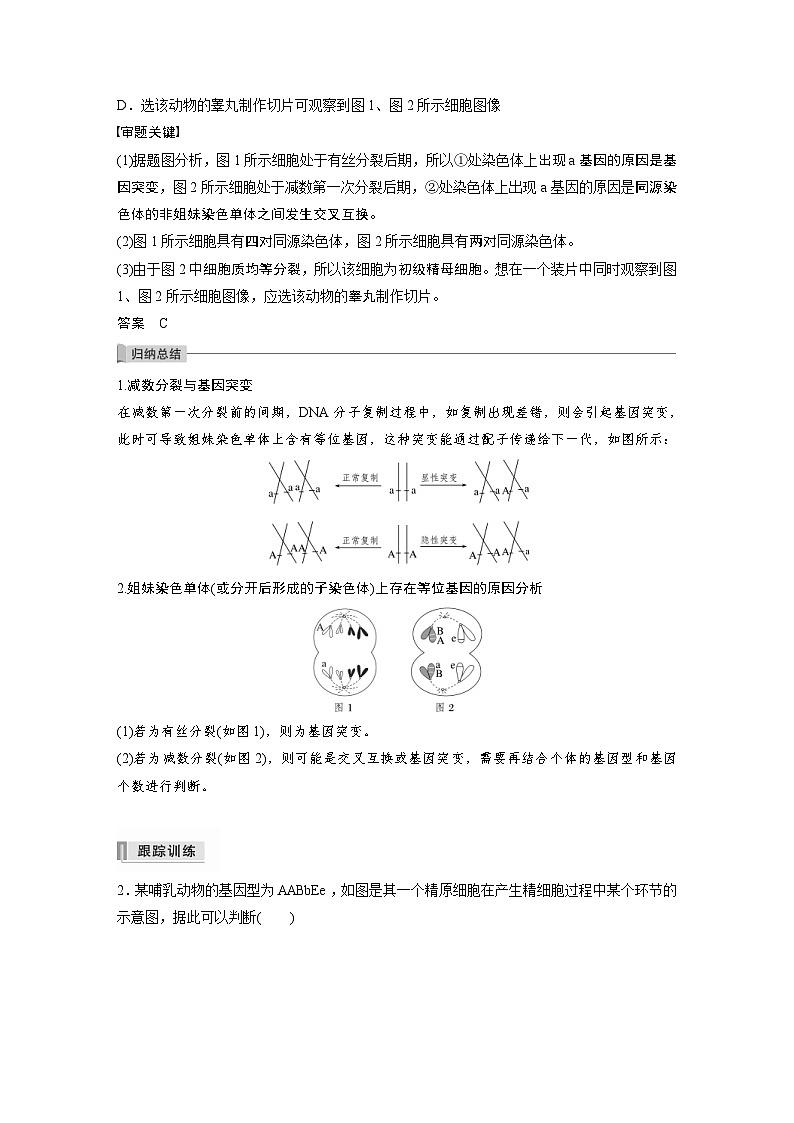 新高考生物一轮复习精品学案 第4单元 第12讲　热点题型二　减数分裂与可遗传变异的关系分析（含解析）03