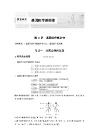 新高考生物一轮复习精品学案 第5单元 第14讲　基因的分离定律（含解析）