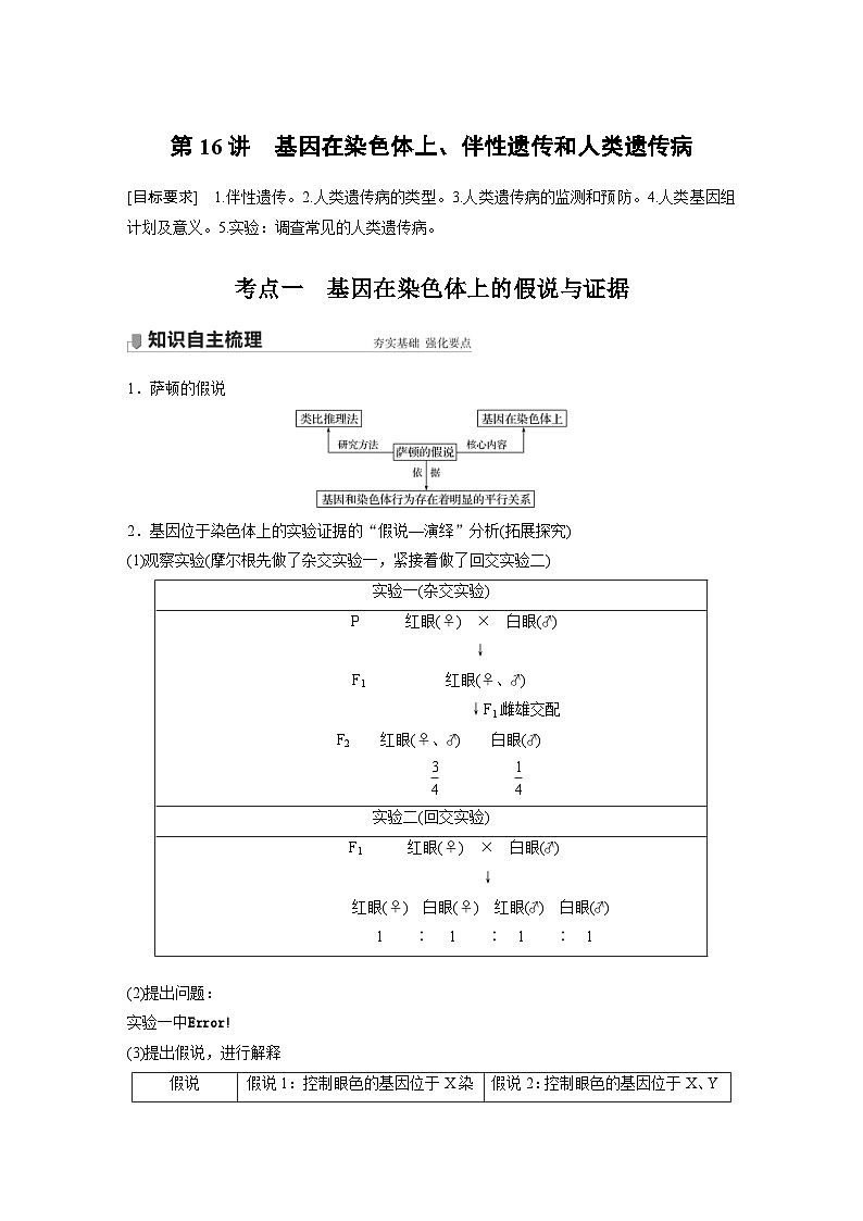 新高考生物一轮复习精品学案 第5单元 第16讲　基因在染色体上、伴性遗传和人类遗传病（含解析）第1页