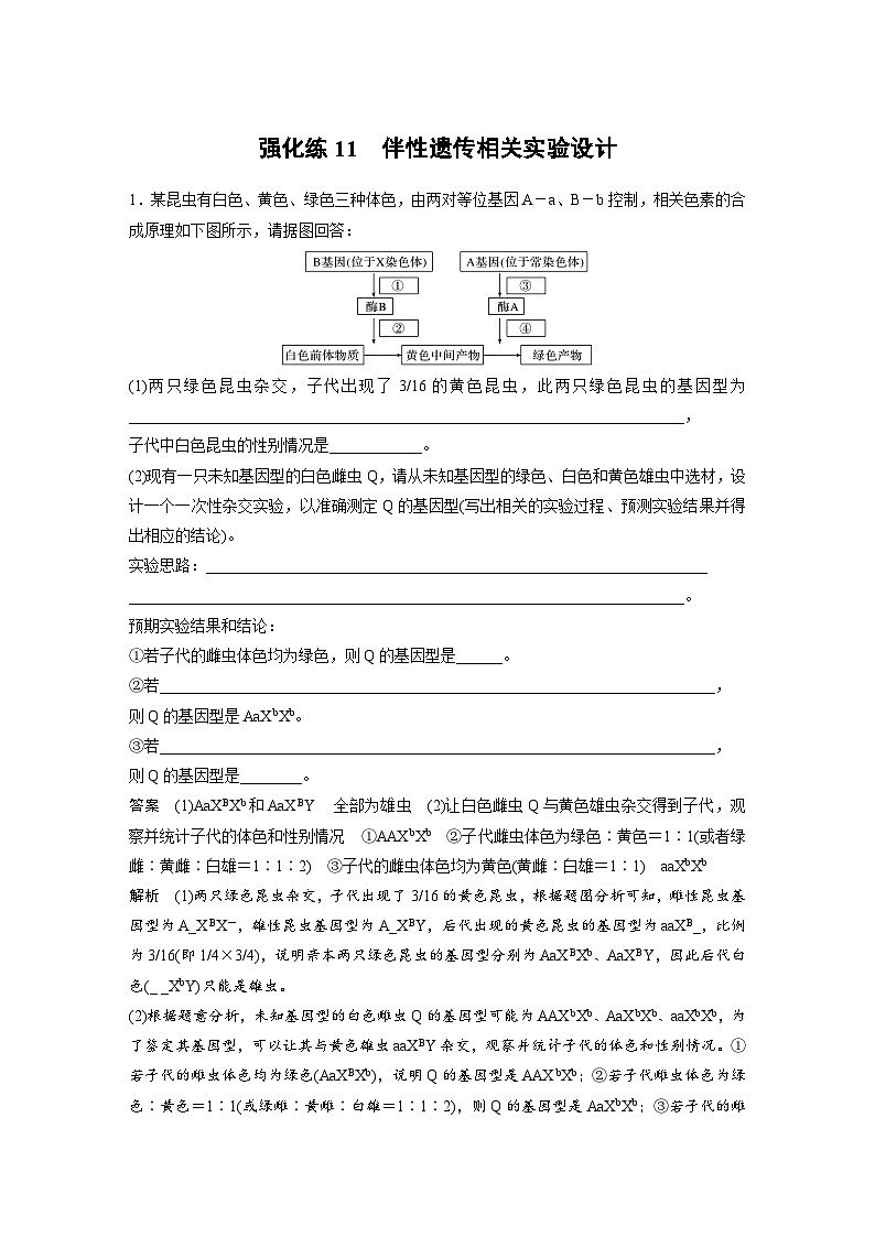 新高考生物一轮复习精品学案 第5单元 强化练11　伴性遗传相关实验设计（含解析）第1页