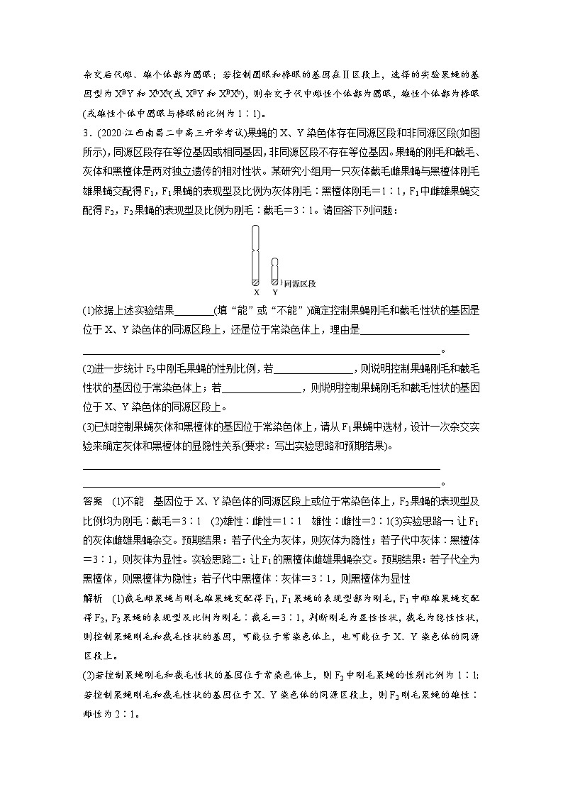 新高考生物一轮复习精品学案 第5单元 强化练11　伴性遗传相关实验设计（含解析）第3页