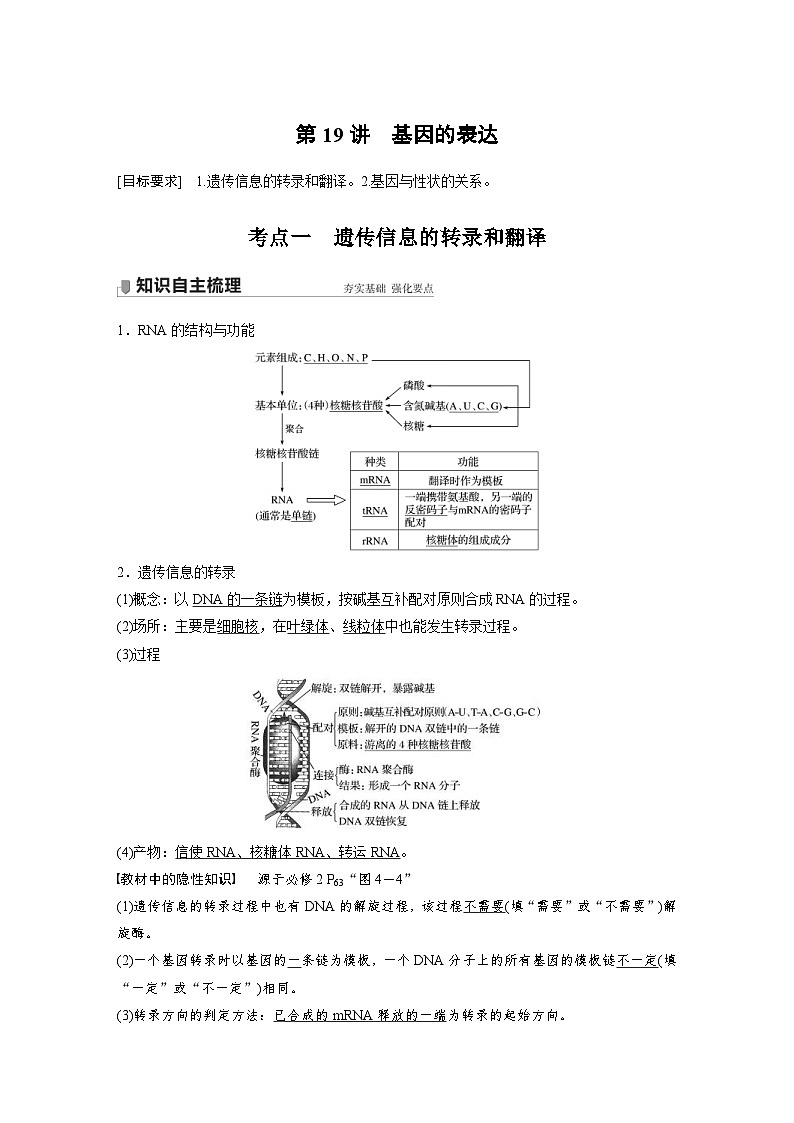 新高考生物一轮复习精品学案 第6单元 第19讲　基因的表达（含解析）01
