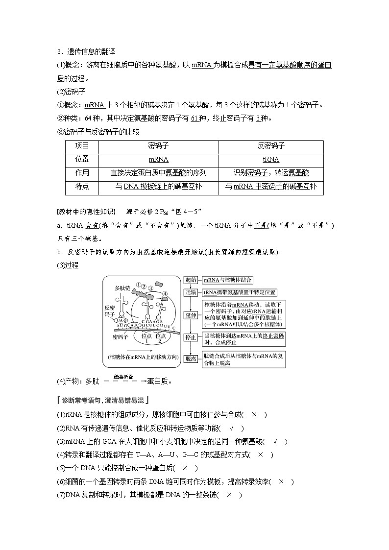 新高考生物一轮复习精品学案 第6单元 第19讲　基因的表达（含解析）02