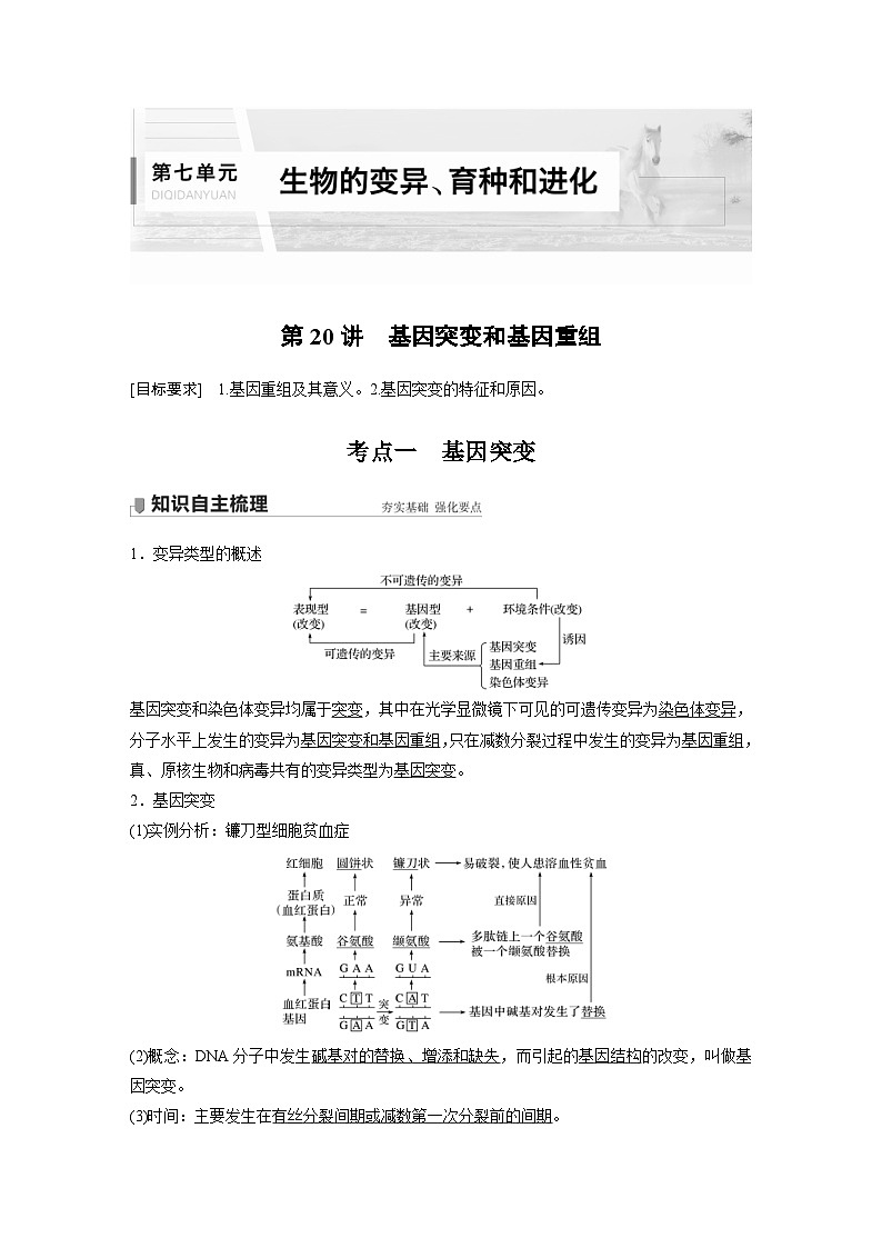 新高考生物一轮复习精品学案 第7单元 第20讲　基因突变和基因重组（含解析）01