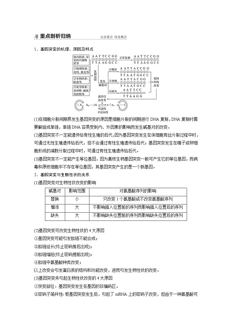 新高考生物一轮复习精品学案 第7单元 第20讲　基因突变和基因重组（含解析）03