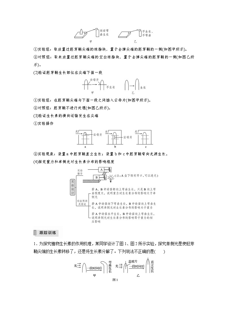 新高考生物一轮复习精品学案 第8单元 热点题型九   植物激素调节的相关实验探究（含解析）第2页