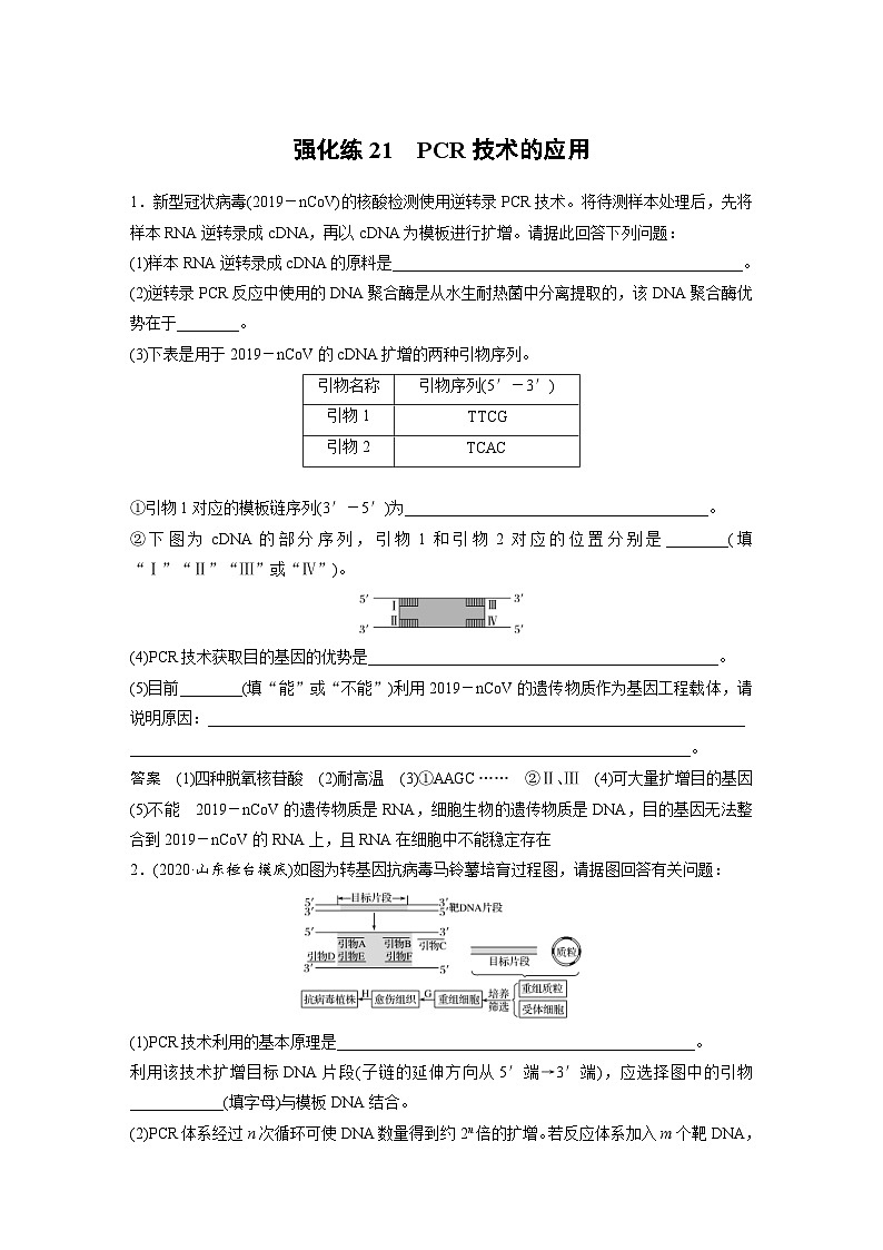 新高考生物一轮复习精品学案 第10单元 强化练21　PCR技术的应用（含解析）01