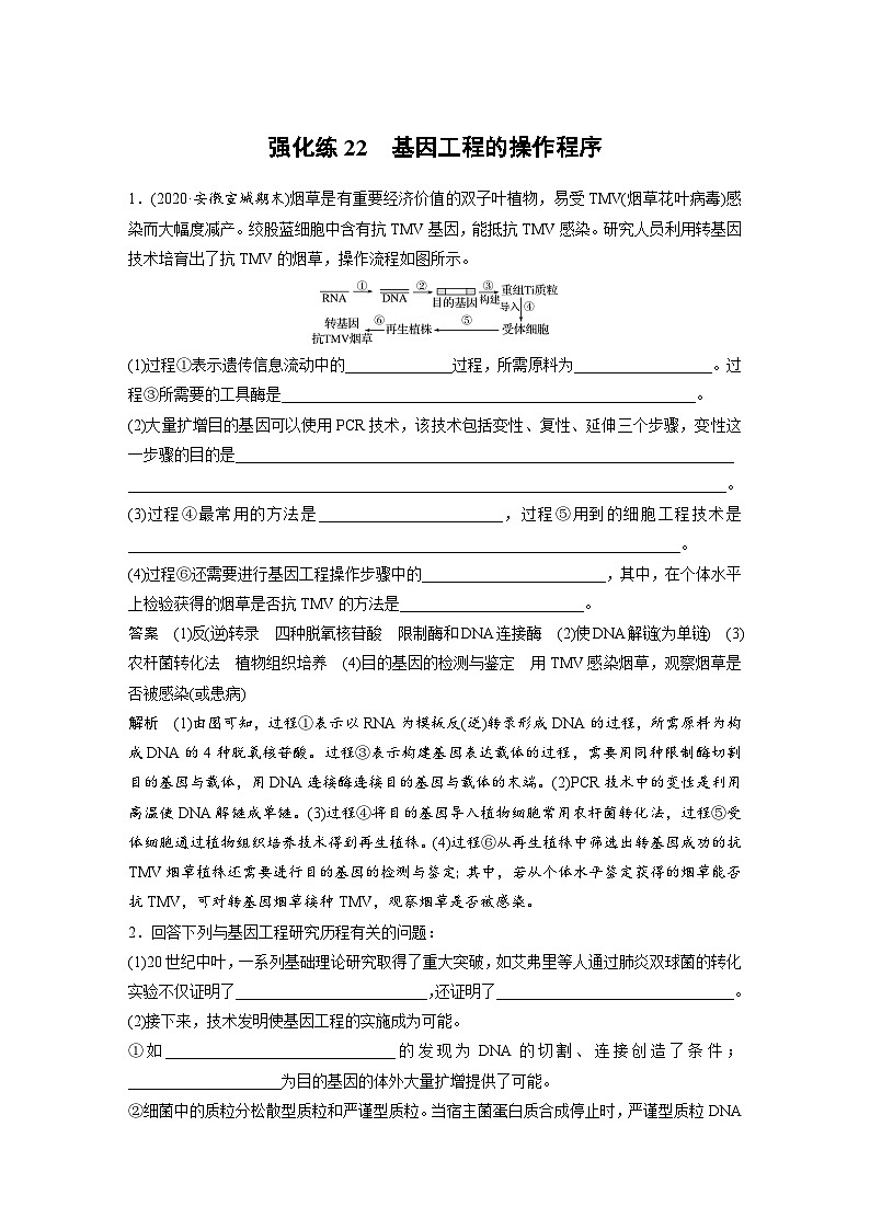 新高考生物一轮复习精品学案 第10单元 强化练22　基因工程的操作程序（含解析）01