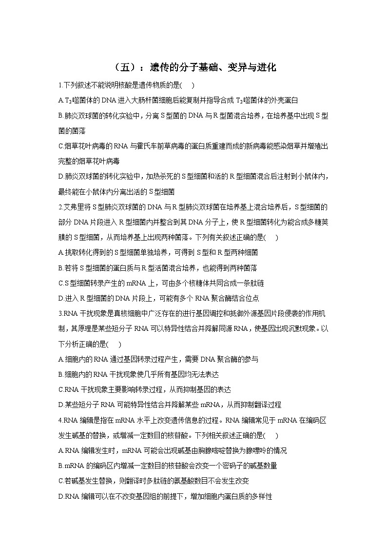 新高考生物二轮复习专题综合练（五）：遗传的分子基础、变异与进化（含解析）第1页