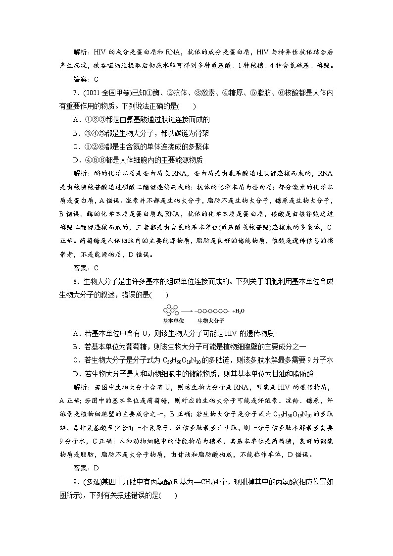 新高考生物一轮复习专题训练：第3讲 蛋白质和核酸（含解析）第3页