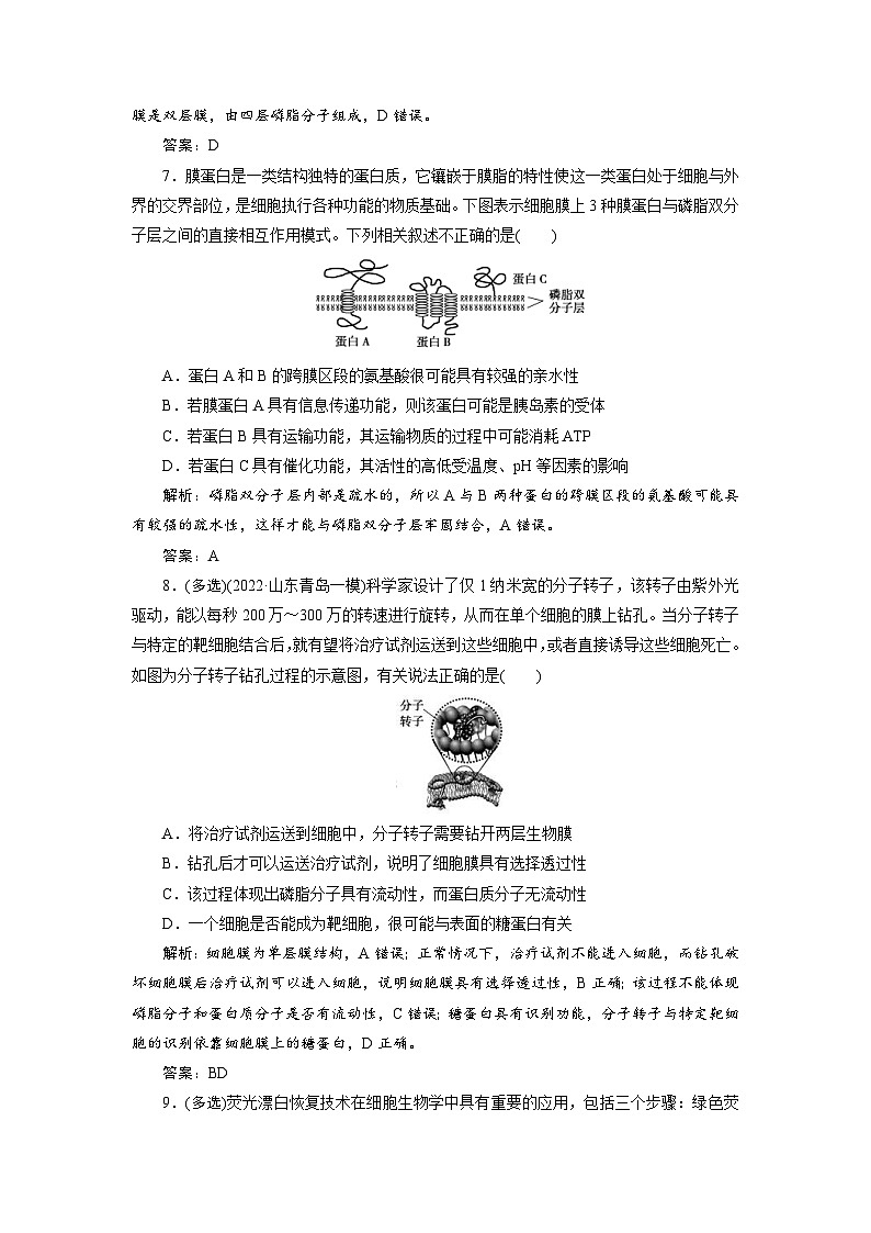 新高考生物一轮复习专题训练：第4讲 细胞膜与细胞核（含解析）第3页