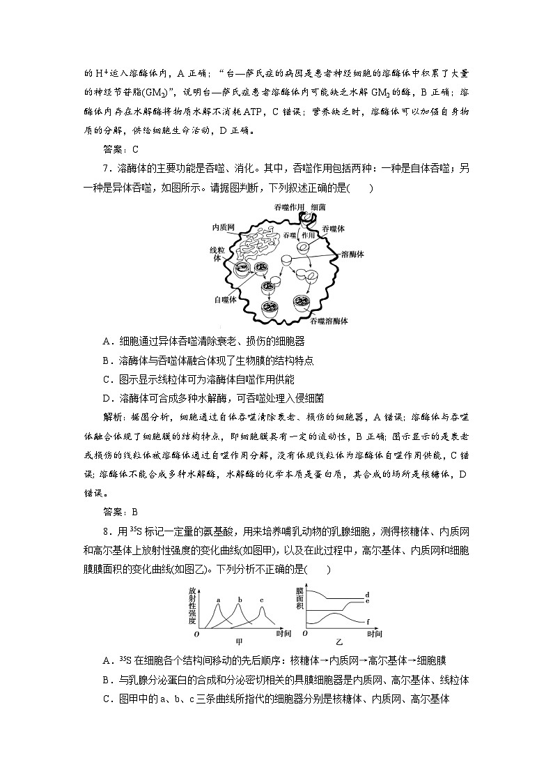 新高考生物一轮复习专题训练：第5讲 细胞器之间的分工合作（含解析）第3页