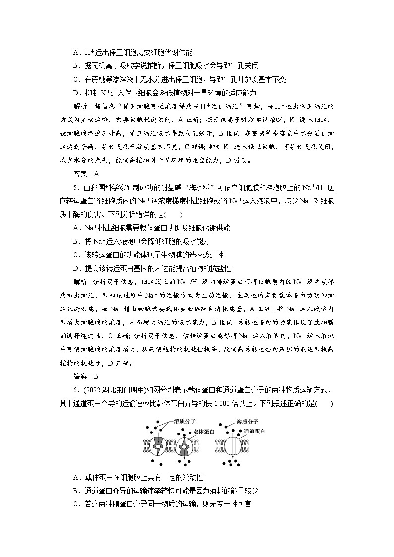 新高考生物一轮复习专题训练：第6讲 细胞的物质输入和输出课时作业（含解析）第2页