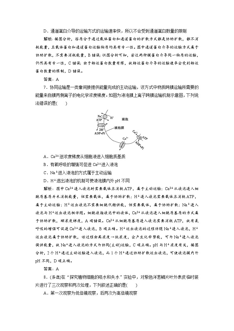新高考生物一轮复习专题训练：第6讲 细胞的物质输入和输出课时作业（含解析）第3页
