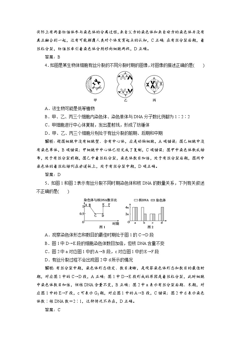 新高考生物一轮复习专题训练：第11讲 细胞的增殖（含解析）02