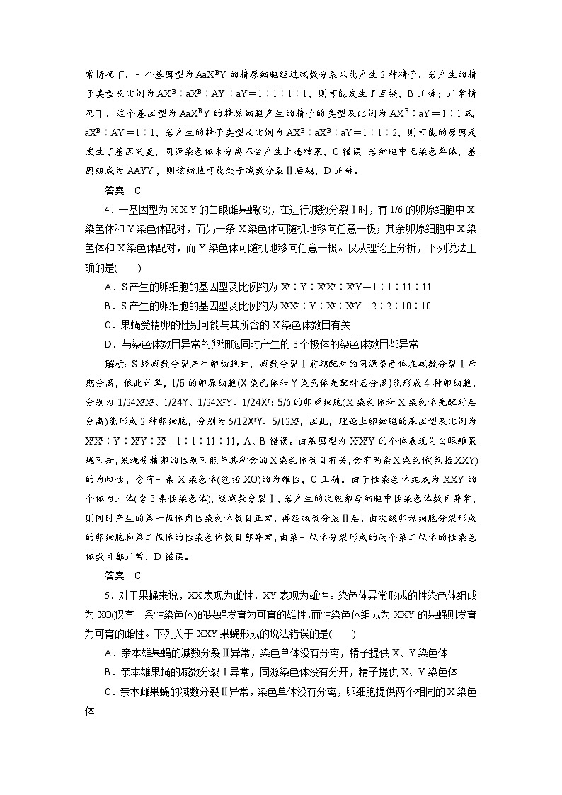 新高考生物一轮复习专题训练：第12讲 减数分裂与受精作用（含解析）第2页