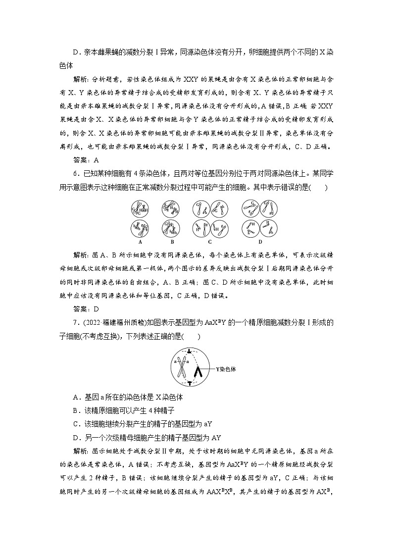 新高考生物一轮复习专题训练：第12讲 减数分裂与受精作用（含解析）第3页
