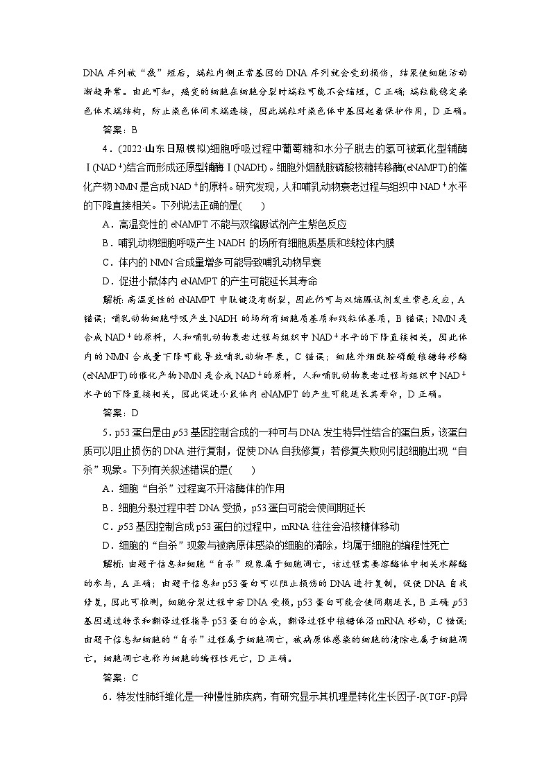 新高考生物一轮复习专题训练：第13讲 细胞的分化（含解析）第2页