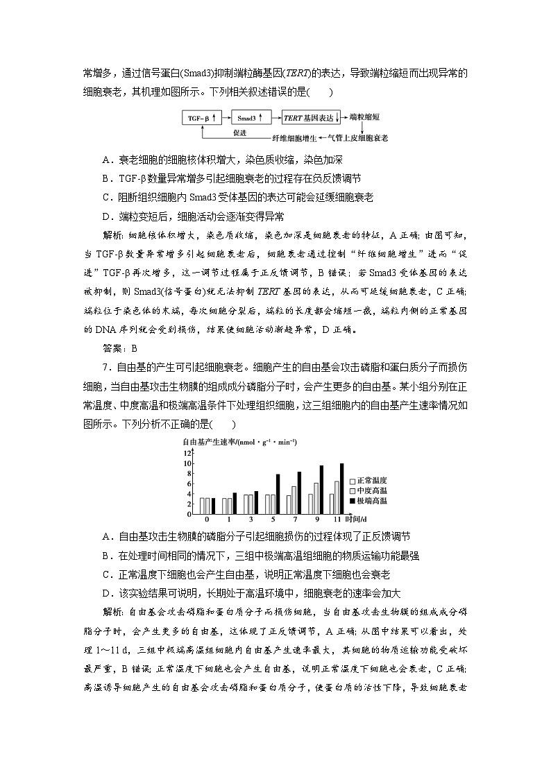 新高考生物一轮复习专题训练：第13讲 细胞的分化（含解析）第3页