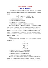 新高考生物一轮复习专题训练：第19讲 基因的表达（含解析）